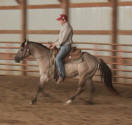 SPIN WHIZ ME: Grullo ( grulla ) quarter horses and blue roans at Cedar ...